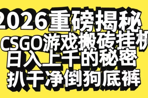 2026开年重磅解密,CSGO游戏搬砖挂G日入1k+的秘密,把倒狗的底裤扒干