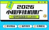 26年最新风口项目，小程序全自动推广，一部手机保底日入5张