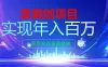 2026年通过“卖项目”实现年入100个W，一部手机在家就能做，2026轻创业首选