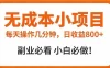 无成本小项目 每天操作几分钟，真实日收益800+ 副业必看 小白必做！