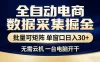 全自动电商数据采集掘金 批量可矩阵 单窗口轻松日入30+