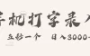 手机打字录入，五秒一个，日入可达3000+！