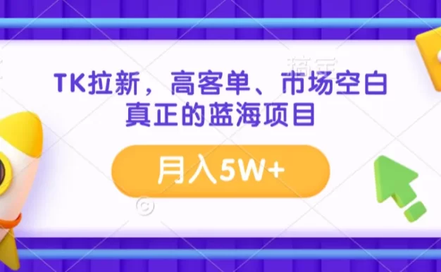 TK拉新,高客单、市场空白、正在的蓝海项目,月入5W+