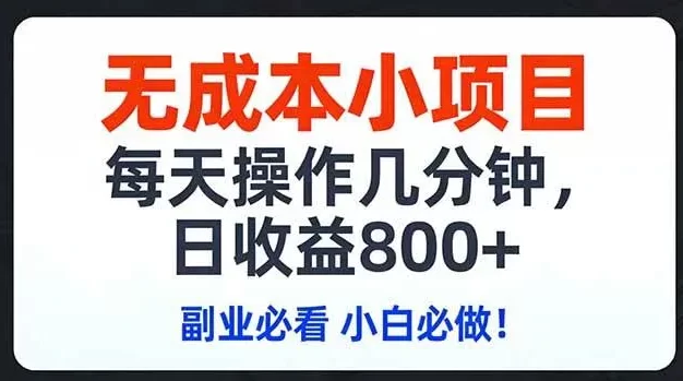无成本小项目,每天操作几分钟,日收益800+ 副业必看 小白必做!