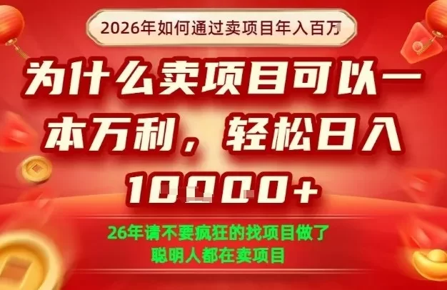 一单净利润1K+,26年想年入100个W,死磕卖项目就够了