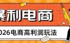 2026电商高利润玩法，长期稳定可做，利润高，需求大，日赚500