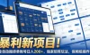 暴利新项目！全自动搬砖单账号日入200+，独家矩阵玩法，保姆级操作