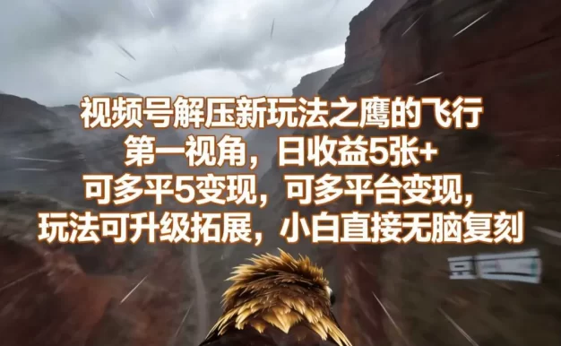 视频号解压新玩法之鹰的飞行第一视角，日收益5张+，可多平台变现，玩法可升级拓展，小白直接无脑复刻
