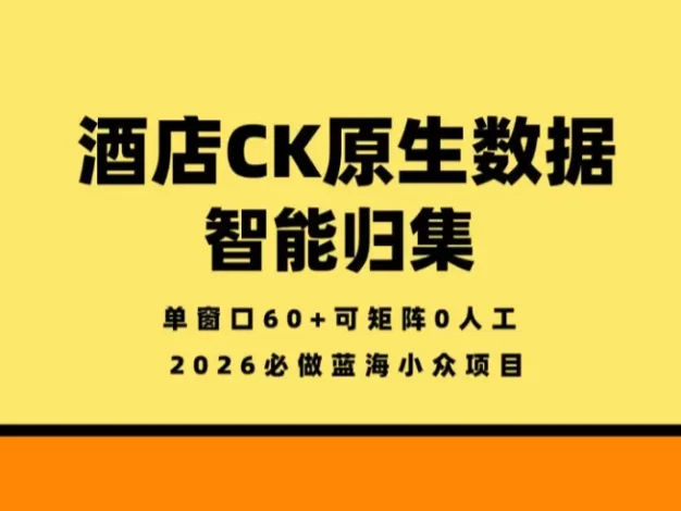 酒店智能数据归集,小众蓝海已经稳定半年之久,单窗口70+零成本矩阵开干