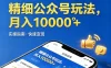 精细公众号玩法，月入10000+，实操指南，快速变现
