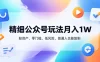 精细公众号玩法月入1W，轻资产、零门槛、低风险，普通人也能复制