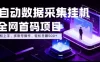 全自动数据采集挂G，全网首码项目，简单易操作，小白也能轻松上手，多账号操作，轻松日入500+