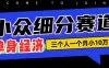 小众流量掘金，三个人一月小10W