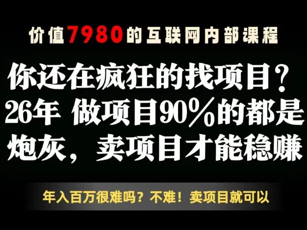26年请不要疯狂的找项目了,卖项目远比你想象的暴利,你也可以月入10W+