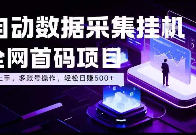 全自动数据采集挂G,全网首码项目,简单易操作,小白也能轻松上手,多账号操作,轻松日入500+