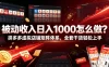 被动收入日入1000怎么做？拼多多虚拟店铺矩阵体系，全套干货轻松上手