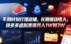 不用时刻打理店铺，长期被动收入，拼多多虚拟赛道月入1W到3W