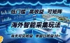 海外智能采集玩法，低门槛高单价可矩阵，当天可见收益，单窗口30+