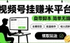 最新视频号挂G賺米平台，自带脚本，长期能做，简单无脑