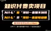 普通人为什么能够靠卖项目轻松月入10W+，而做项目却容易成炮灰，卖项目为什么能够稳賺不赔？