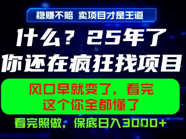 26年,请不要疯狂的找项目做了!卖项目才是真的稳賺不赔,看完照做,保底日入1k+