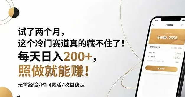 试了两个月,这个冷门赛道真的藏不住了!每天日入200+,照做就能赚!