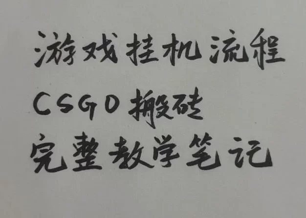 游戏挂G全流程笔记分享,CSGO游戏搬砖,小白看了当天学会见收益