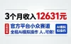 3个月收入12631，官方平台小众赛道，全程Ai模拟操作人人可做！