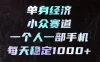 单身经济小众赛道，一个人一部手机，每天稳定1000+，长期可持续的赛道