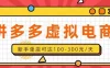单店日均500+的拼多多虚拟店，新人轻松上手，长久稳定利润乐观的副业项目